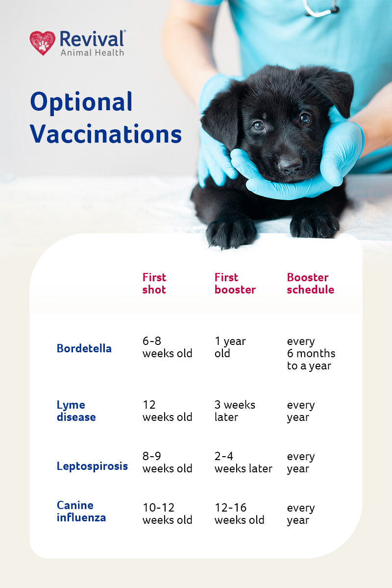Optional Puppy Vaccination Chart