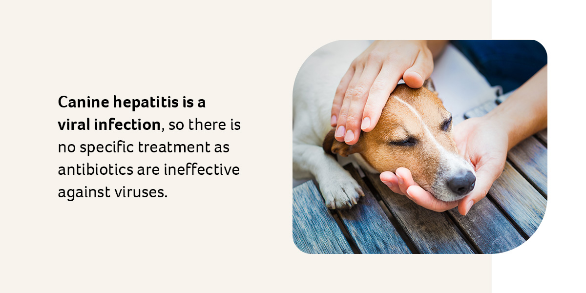 Canine Hepatitis chart