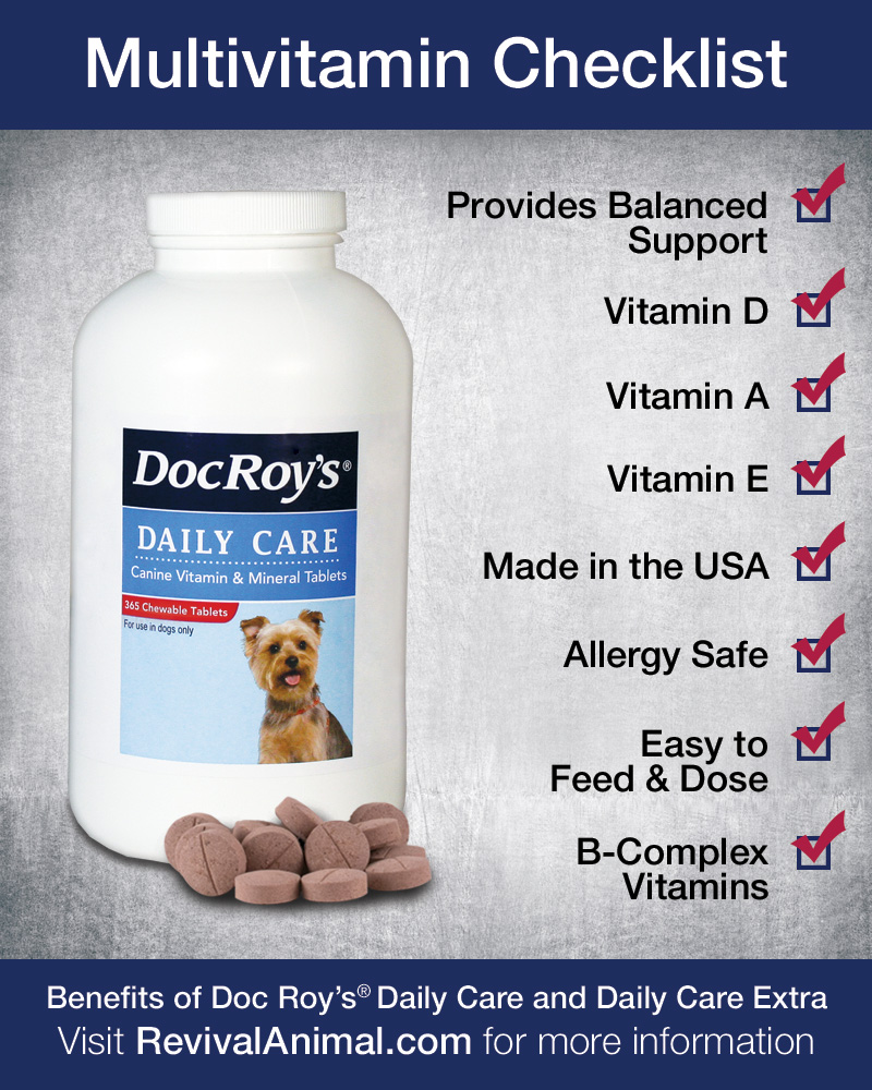 do dogs need vitamin b