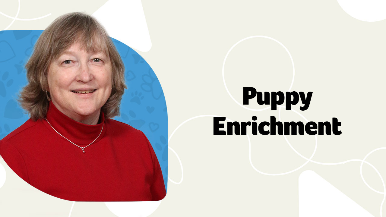 Neonatal Puppy Development Webinar