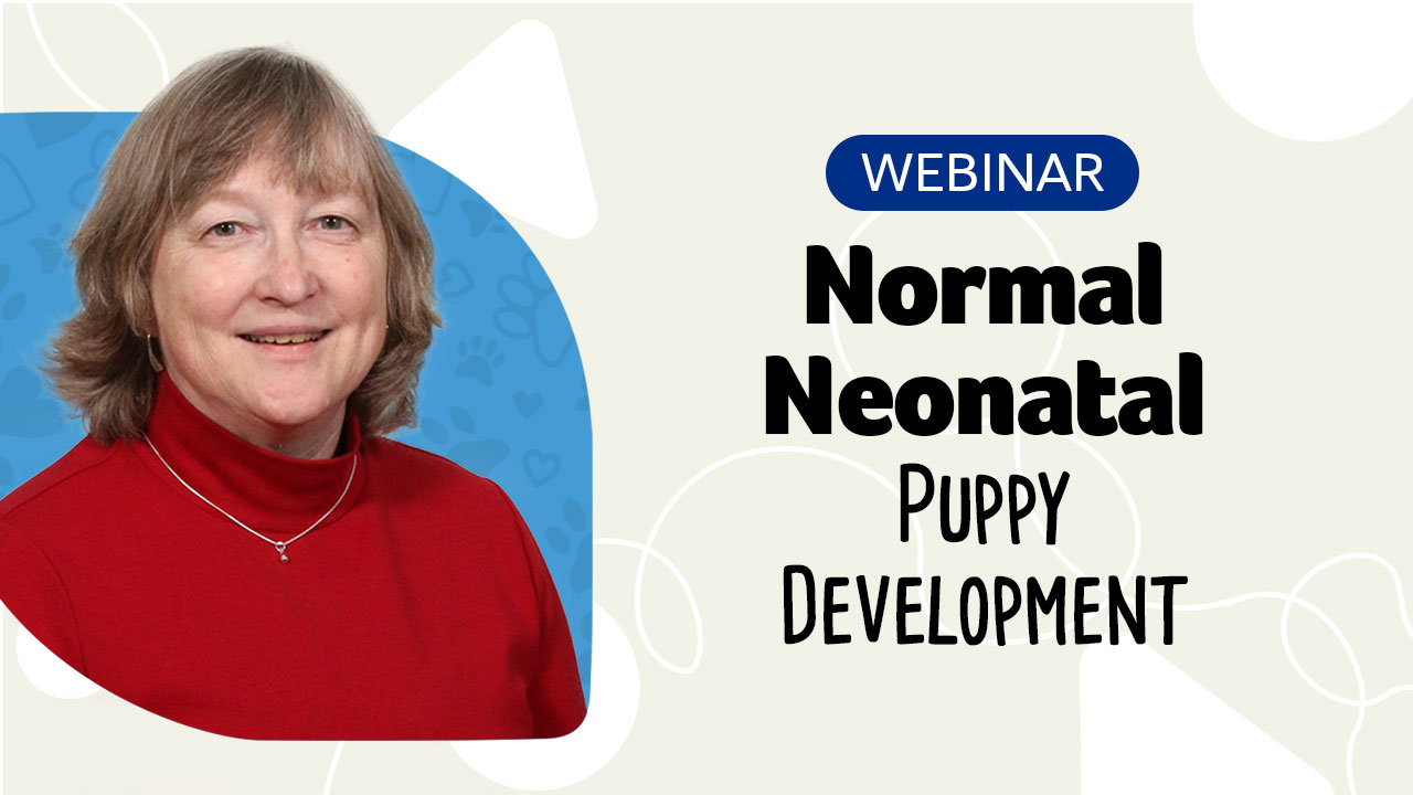 Neonatal Puppy Development Webinar